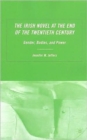 The Irish Novel at the End of the Twentieth Century : Gender, Bodies and Power - Book