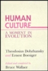 Human Culture : A Moment in Evolution - Book