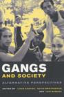 Gangs and Society : Alternative Perspectives - Book