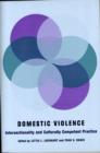 Domestic Violence : Intersectionality and Culturally Competent Practice - Book