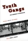Youth Gangs and Community Intervention : Research, Practice, and Evidence - Book