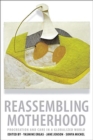 Reassembling Motherhood : Procreation and Care in a Globalized World - Book