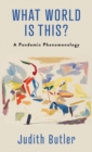 What World Is This? : A Pandemic Phenomenology - Book