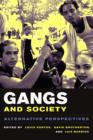 Gangs and Society : Alternative Perspectives - eBook
