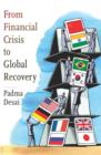 From Financial Crisis to Global Recovery - eBook