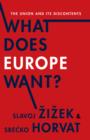 What Does Europe Want? : The Union and Its Discontents - eBook