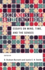 Scenes of Attention : Essays on Mind, Time, and the Senses - eBook
