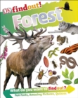 DKfindout! Forest - eBook