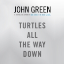 Turtles All the Way Down - Book