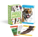 Our World in Pictures Animals of the World Flash Cards - Book