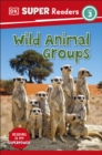DK Super Readers Level 3 Wild Animal Groups - eBook