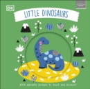 Little Chunkies: Little Dinosaurs - Book