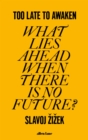 Too Late to Awaken : What Lies Ahead When There is No Future? - Book