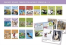 Phonic Books Dandelion World Stages 8-15 (Consonant blends and digraphs) - Book