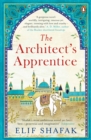 The Architect's Apprentice - eBook