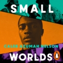 Small Worlds : THE TOP TEN SUNDAY TIMES BESTSELLER - eAudiobook