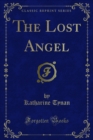 The Lost Angel - eBook