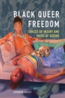 Black Queer Freedom : Spaces of Injury and Paths of Desire - Book