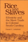 Rice and Slaves : Ethnicity and the Slave Trade in Colonial South Carolina - Book