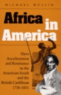 Africa in America : Slave Acculturation and Resistance in the American South and the British Caribbean, 1736-1831 - Book