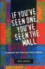 If You've Seen One, You've Seen the Mall : EUROPEANS AND AMERICAN MASS CULTURE - Book