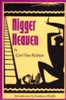 Nigger Heaven - Book
