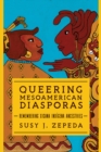 Queering Mesoamerican Diasporas : Remembering Xicana Indigena Ancestries - Book