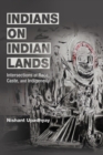 Indians on Indian Lands : Intersections of Race, Caste, and Indigeneity - Book