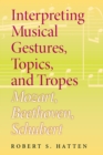 Interpreting Musical Gestures, Topics, and Tropes : Mozart, Beethoven, Schubert - Book
