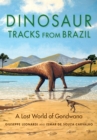 Dinosaur Tracks from Brazil : A Lost World of Gondwana - Book