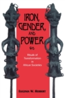Iron, Gender, and Power : Rituals of Transformation in African Societies - Book