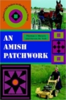 An Amish Patchwork : Indiana's Old Orders in the Modern World - Book