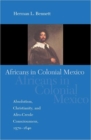 Africans in Colonial Mexico : Absolutism, Christianity, and Afro-Creole Consciousness, 1570-1640 - Book