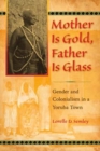 Mother Is Gold, Father Is Glass : Gender and Colonialism in a Yoruba Town - Book