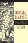 Colonial Blackness : A History of Afro-Mexico - Book