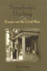 Somebody's Darling : Essays on the Civil War - Book