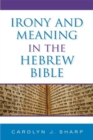 Irony and Meaning in the Hebrew Bible - Book