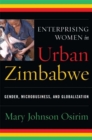 Enterprising Women in Urban Zimbabwe : Gender, Microbusiness, and Globalization - Book