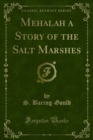 Mehalah a Story of the Salt Marshes - eBook
