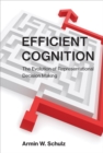 Efficient Cognition : The Evolution of Representational Decision Making - Book