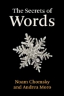 The Secrets of Words - Book