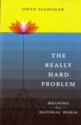 The Really Hard Problem : Meaning in a Material World - Book