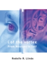 I of the Vortex : From Neurons to Self - eBook
