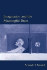 Imagination and the Meaningful Brain - eBook