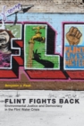 Flint Fights Back - eBook