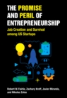 Promise and Peril of Entrepreneurship - eBook