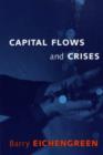 Capital Flows and Crises - Book