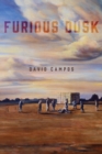 Furious Dusk - Book