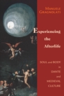 Experiencing the Afterlife : Soul and Body in Dante and Medieval Culture - Book