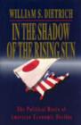 In the Shadow of the Rising Sun : Political Roots of American Decline - Book